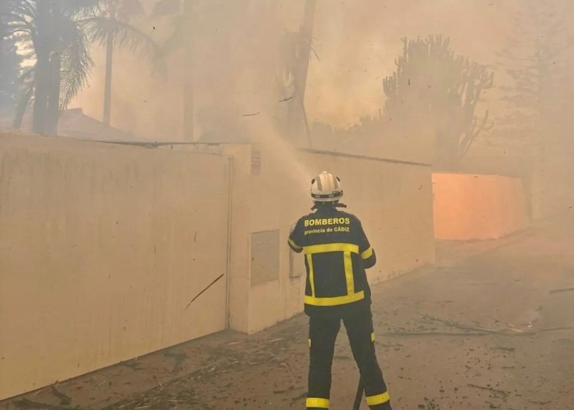 Un bombero intenta sofocar el fuego sobre la arboleda de la zona