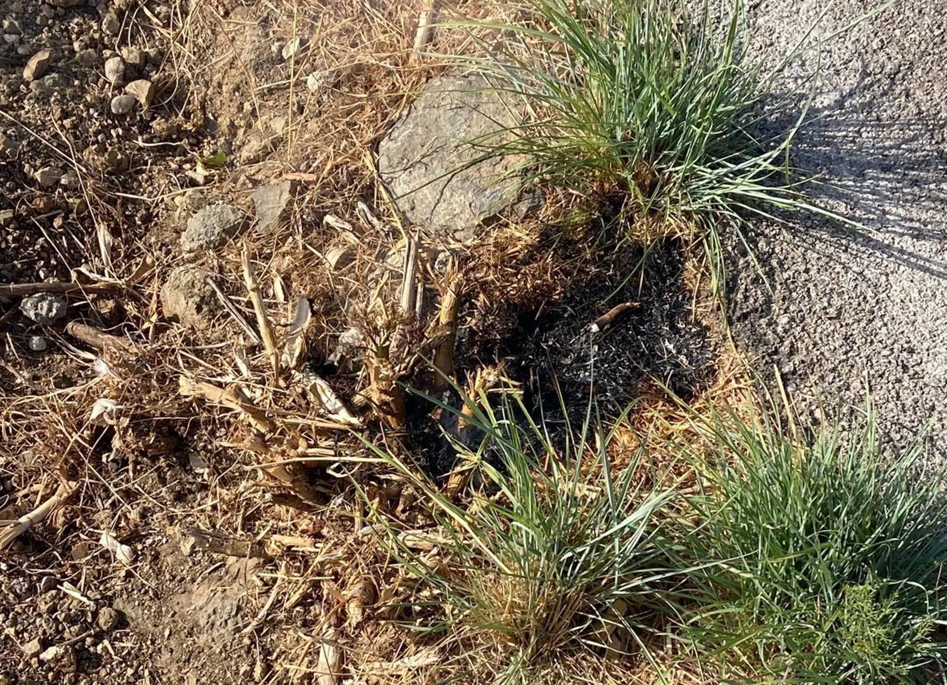 Lugar donde pretendía iniciar el sniestro el arrestadio