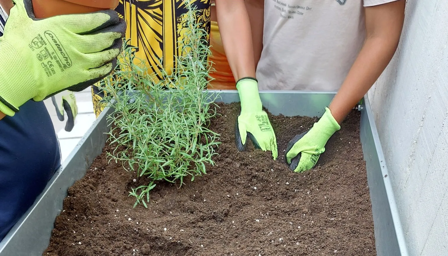 Uno de los talleres que se llevan a cabo en los campamentos en Cruz Roja.