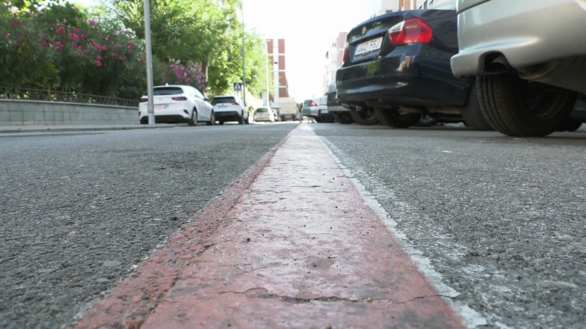 Estacionamiento regulado