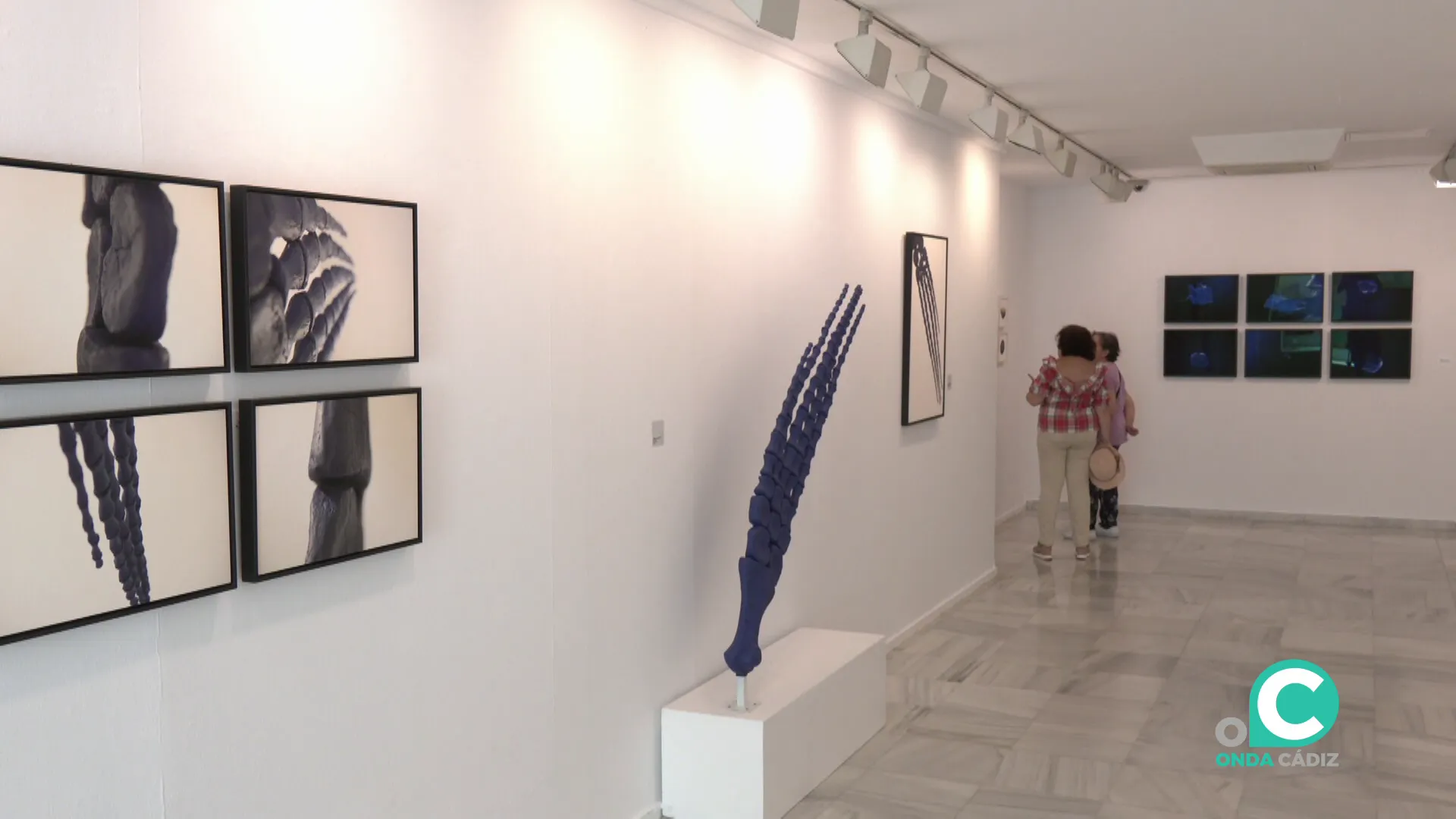 La muestra podrá visitarse hasta el 16 de agosto