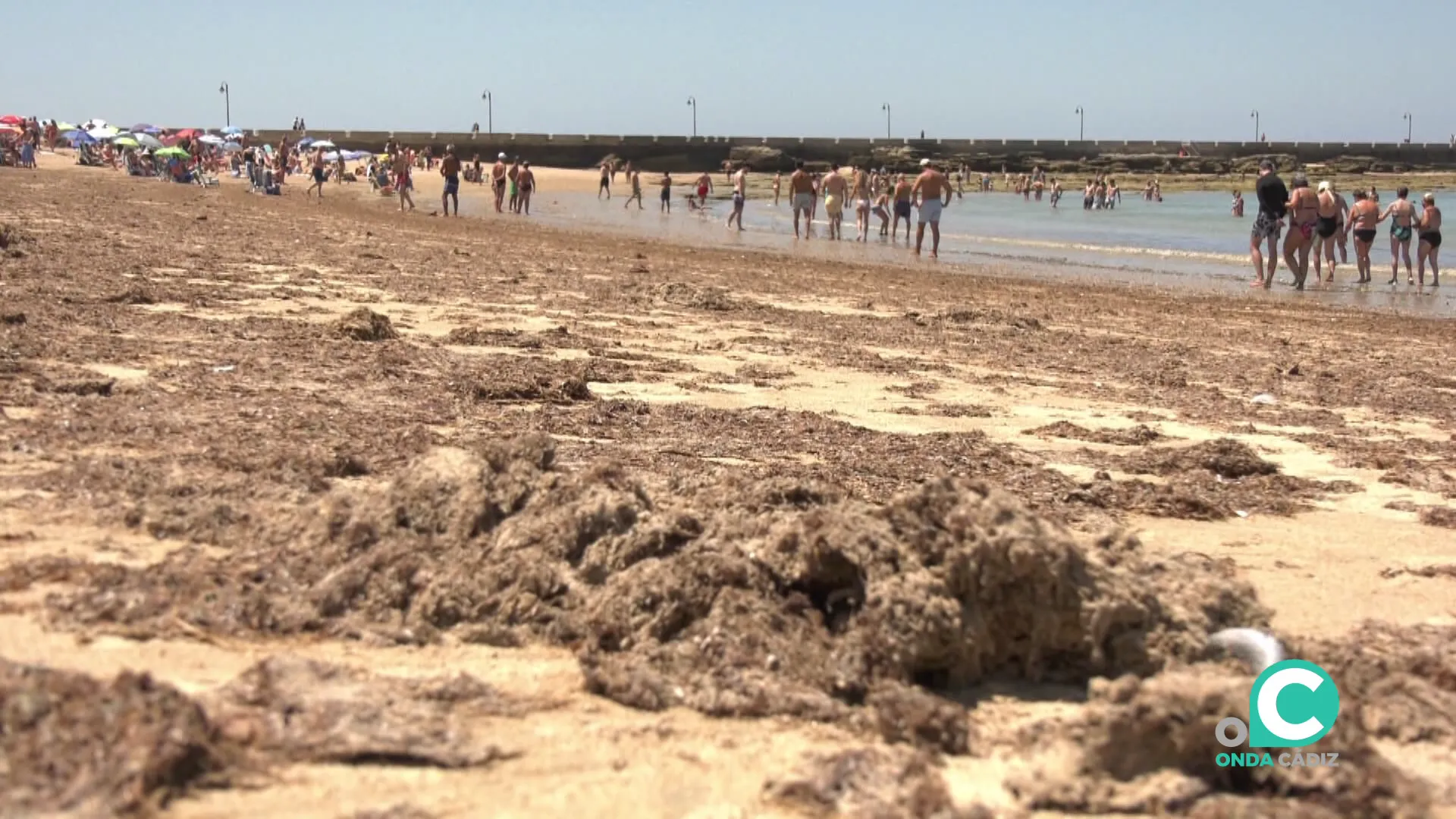 Estado de la conocida playa gaditana en una imagen de arhivo