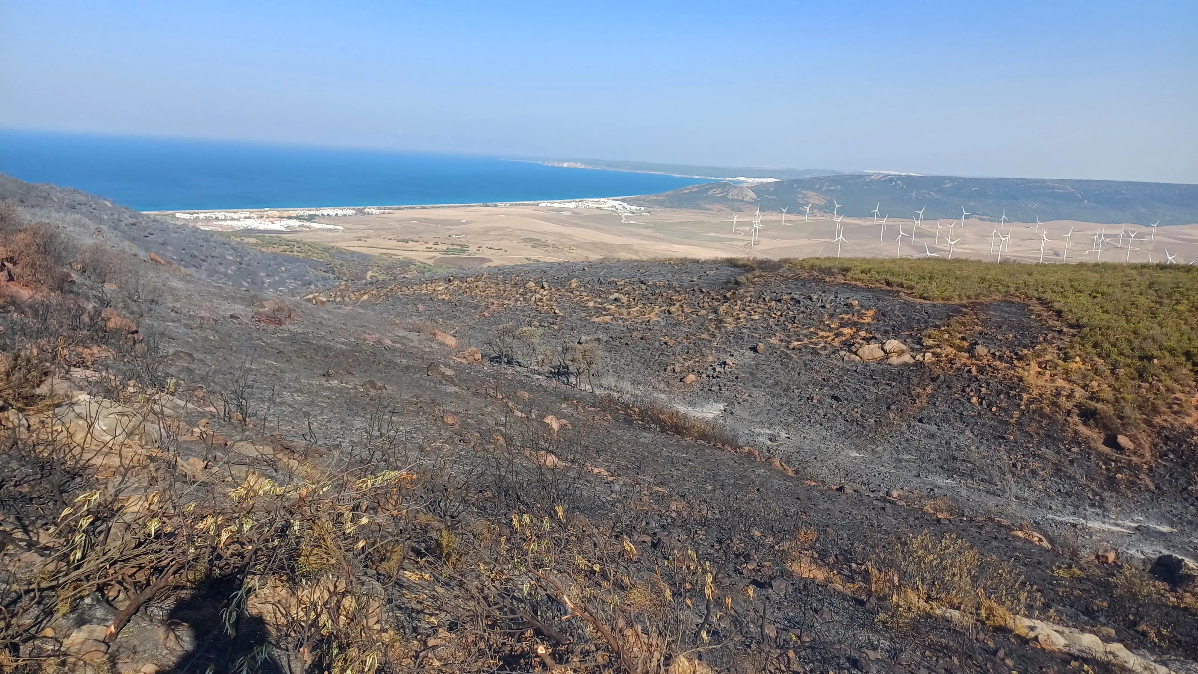 Imagen del estado de la Sierra de la Plata tras el último incendio
