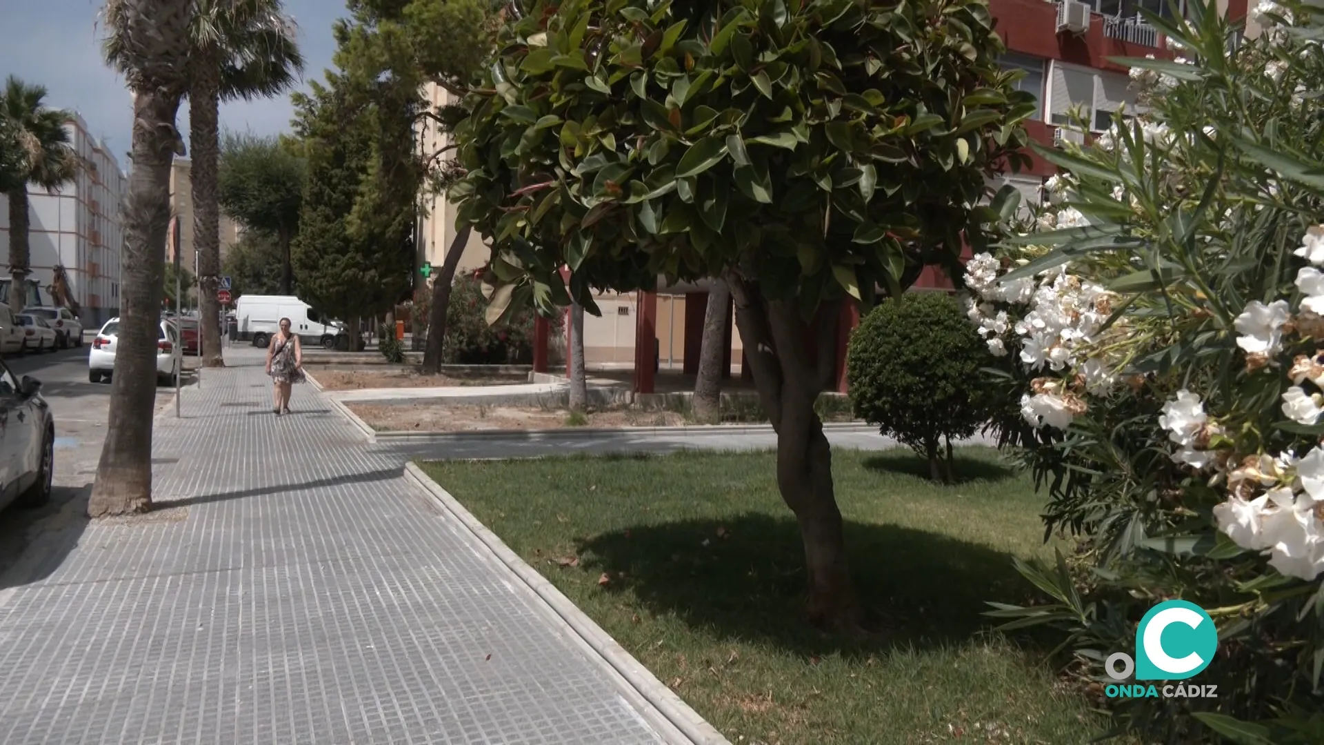 Actuaciones en el acerado del viario urbano y alcorques en distintos puntos de Cádiz. 