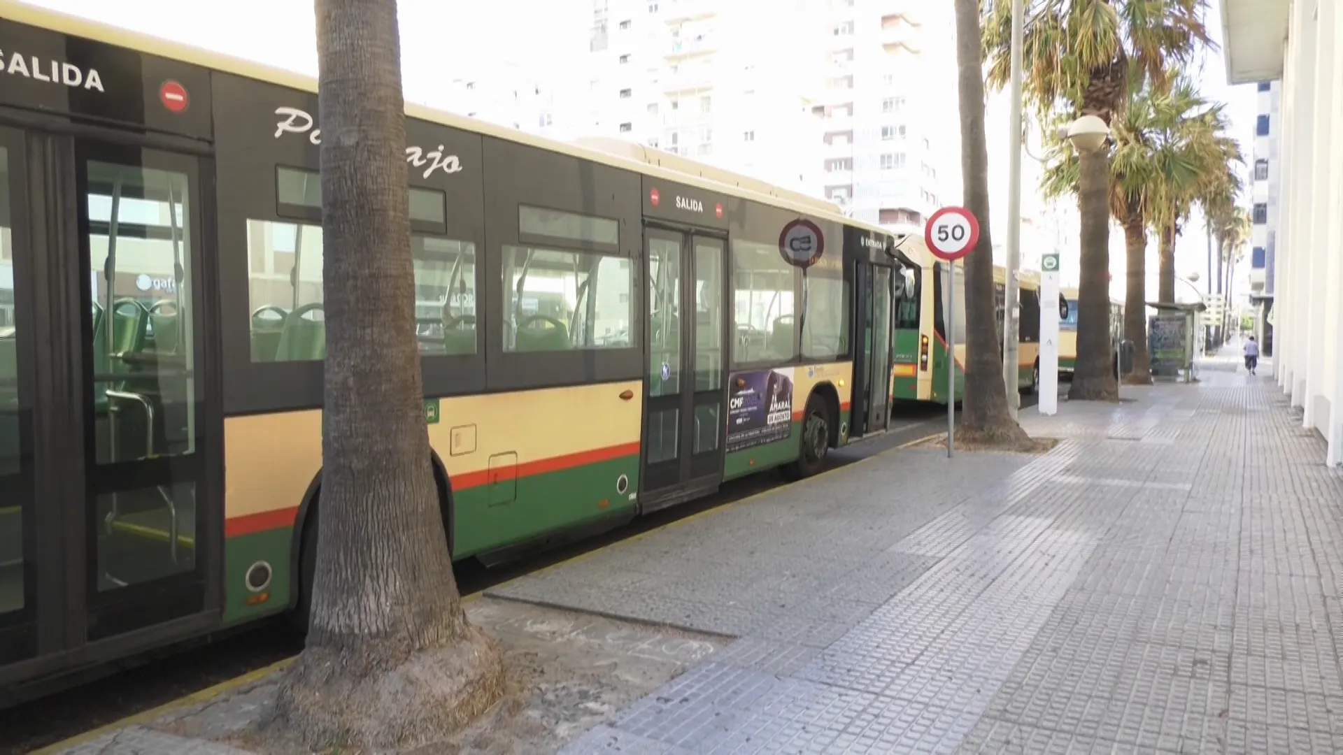 Vehículos de transporte urbano en la parada del Pabellón Ciudad de Cádiz