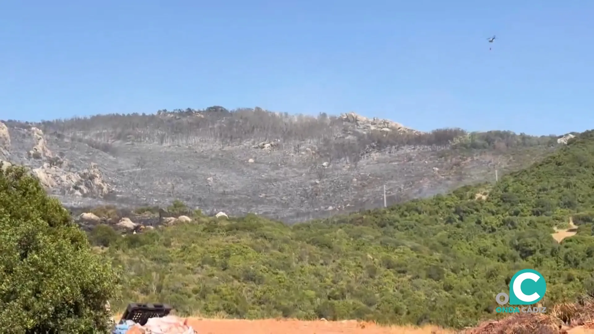 Una de la zonas calcinadas del paraje Sierra de la Plata, en Tarifa. 
