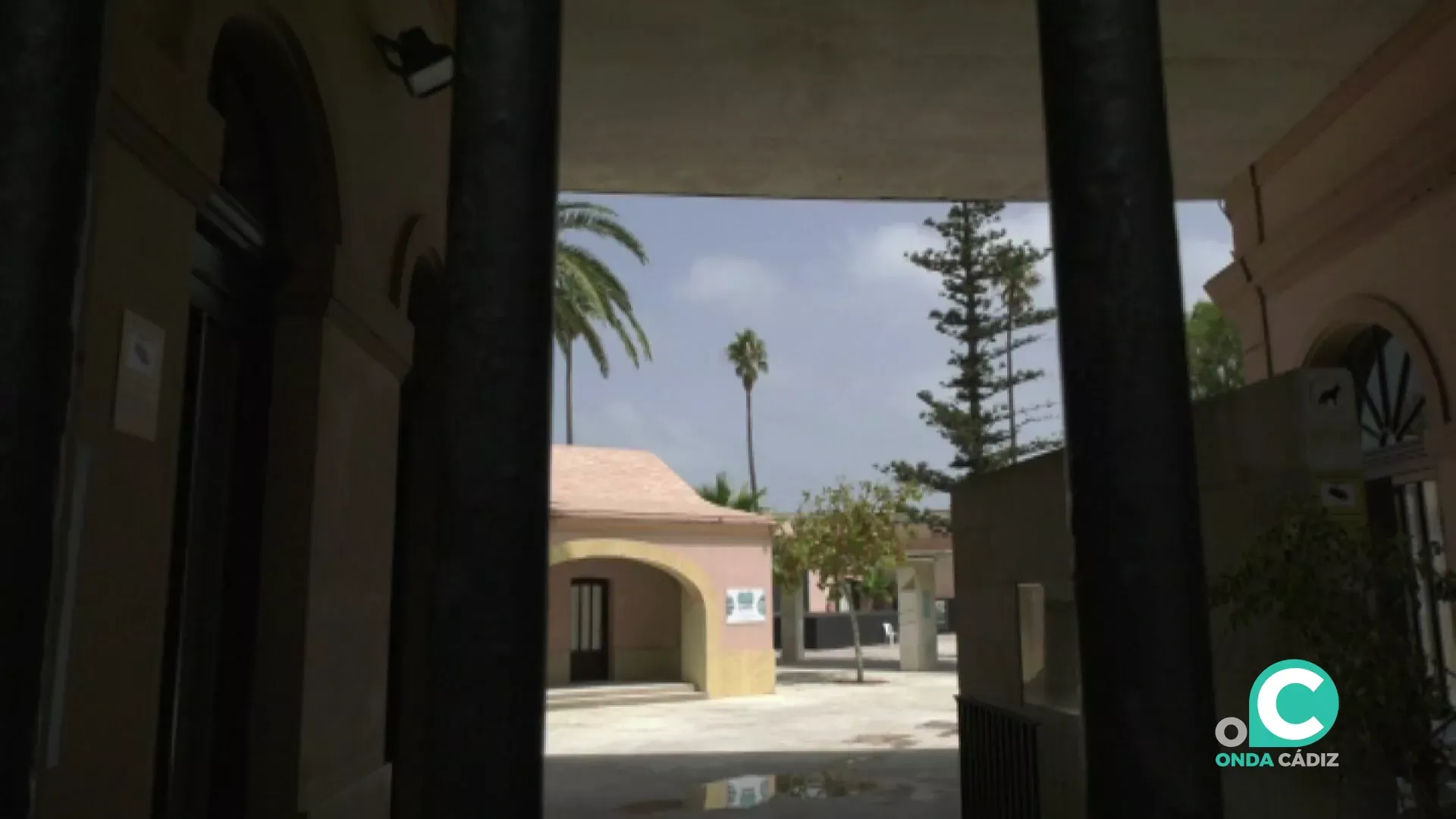 En el Baularte de la Candelaria se celebrarán las convocatorias para quienes se encuentren interesados