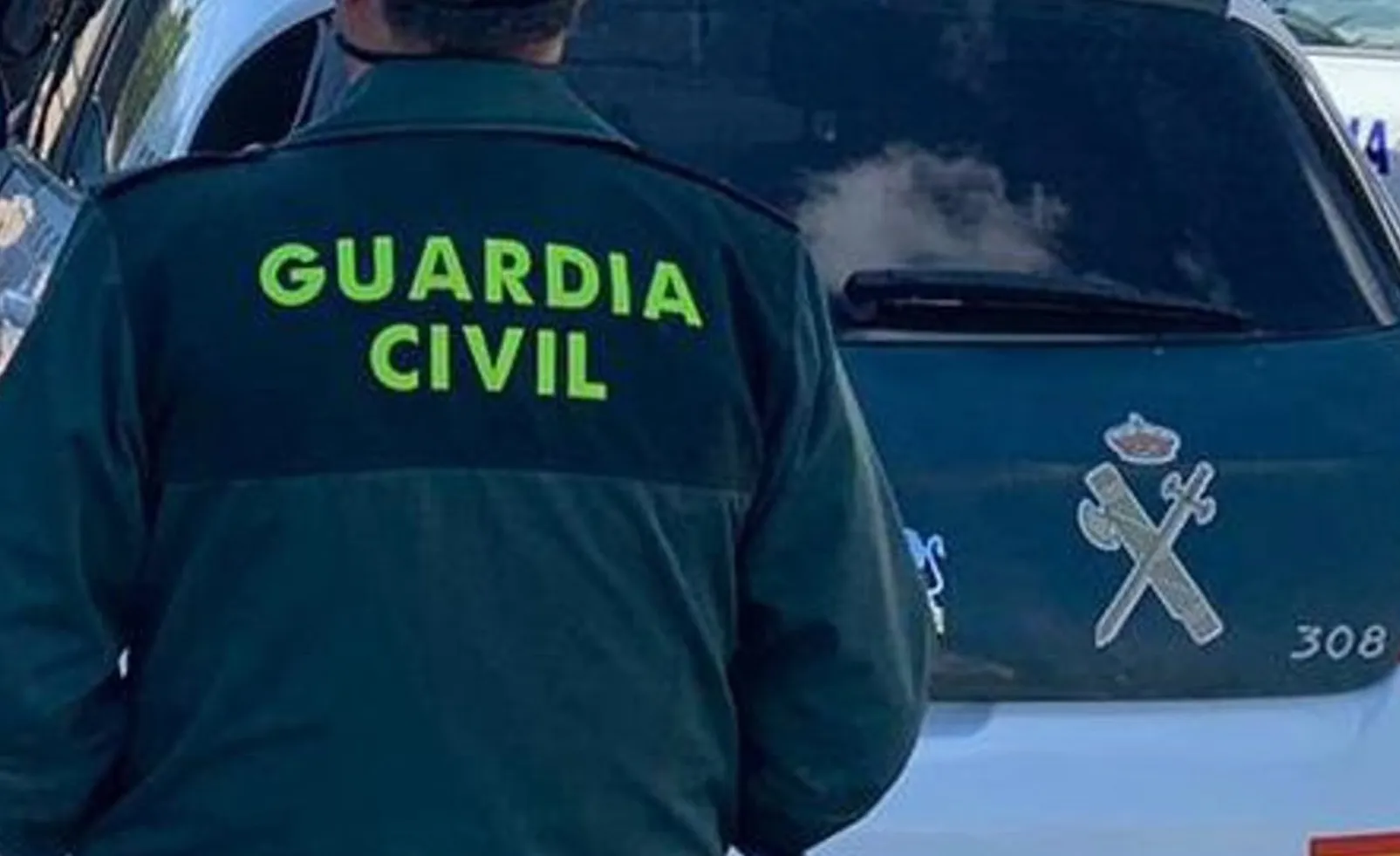 Agente junto a un vehículo oficial en una iamgen de archivo