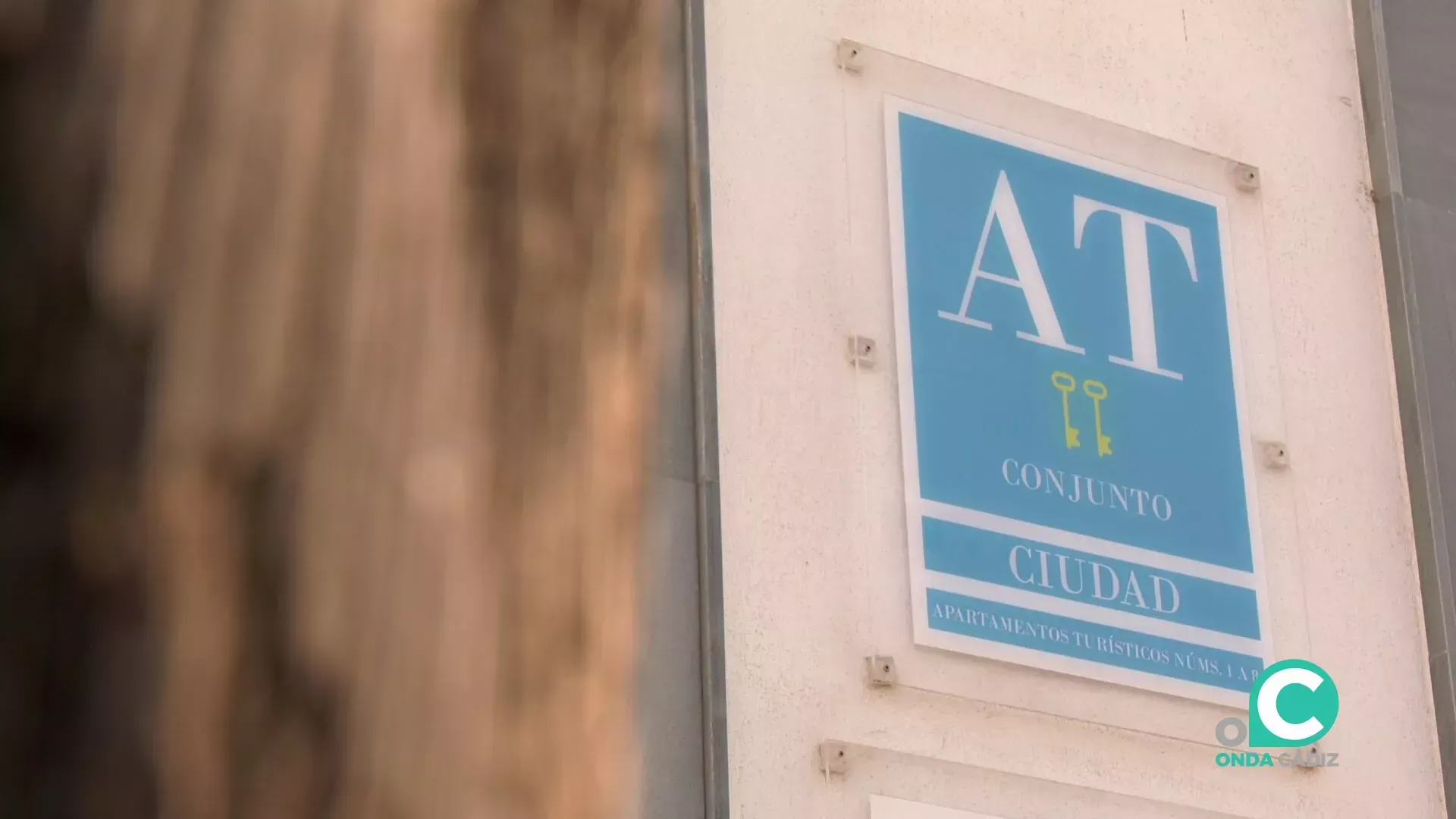 Los datos suponen un aumento del 8,5% en el número de visitantes en 2024. 