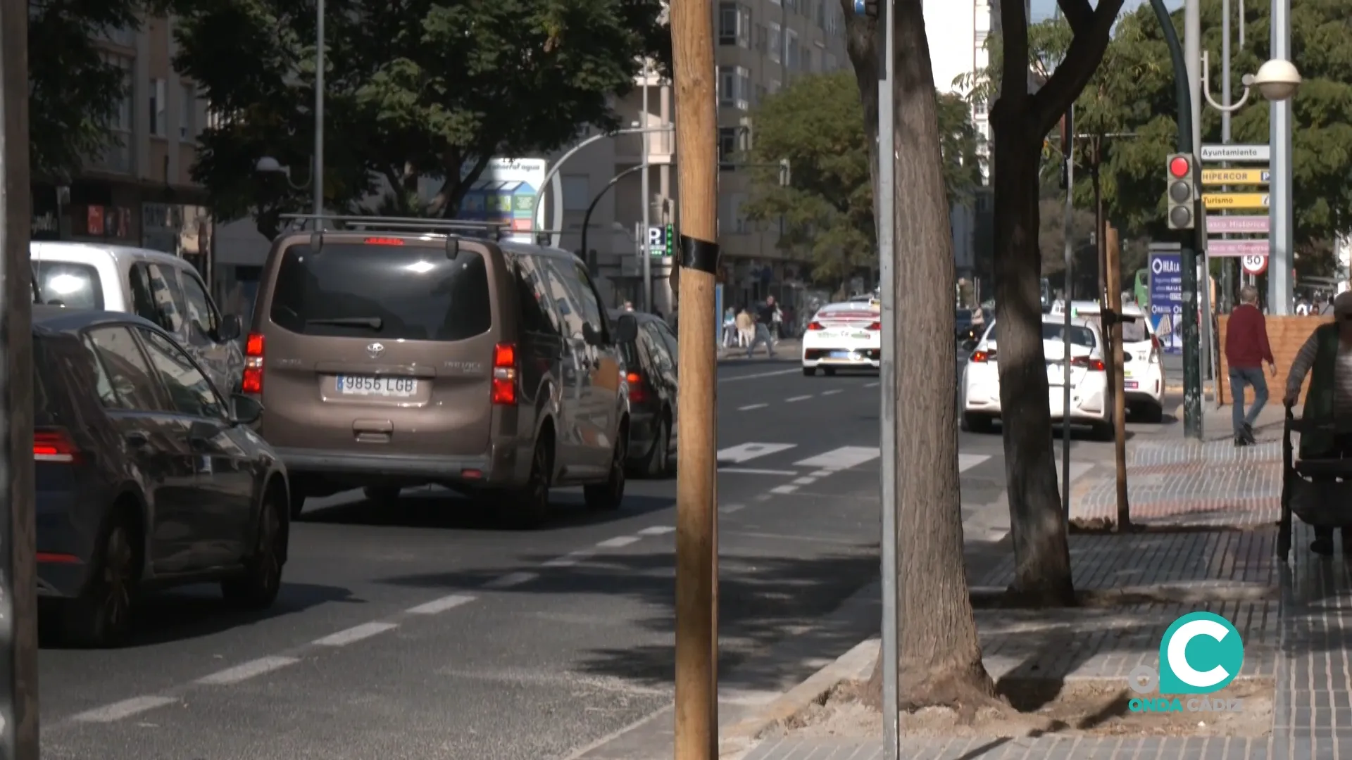 Adelante Izquierda Gaditana pide la puesta en marcha del Plan Director de Arbolado. 