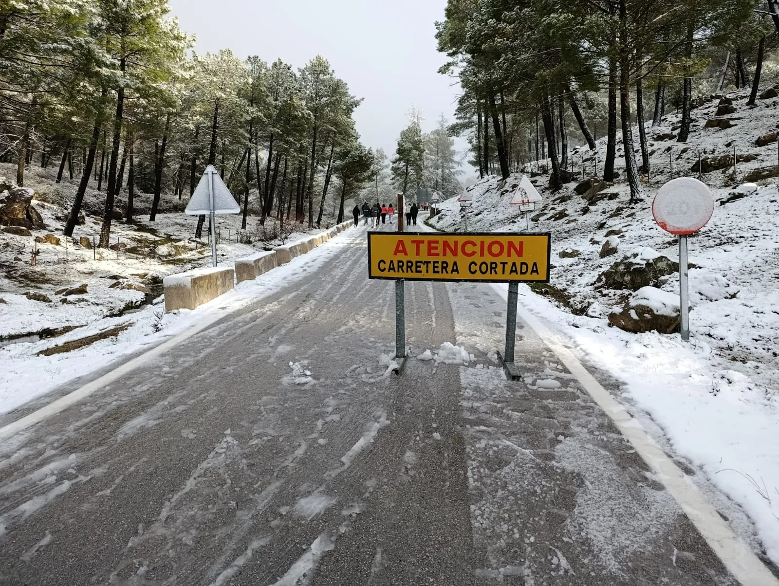 Corte de carretera en Grazalema