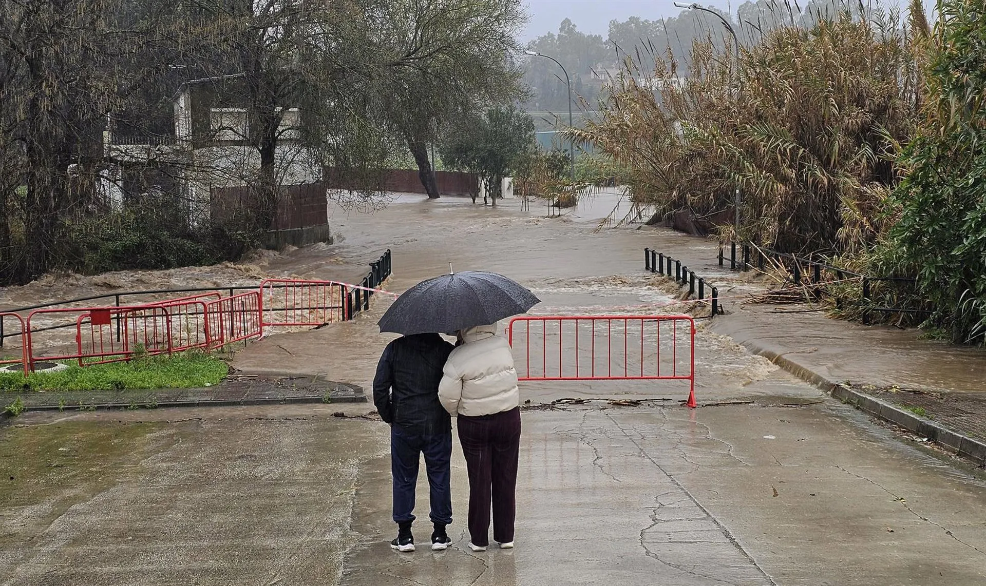 El río Guadiaro sobrepasa un puente al aumentar su caudal por las lluvias acumuladas de los últimos días.