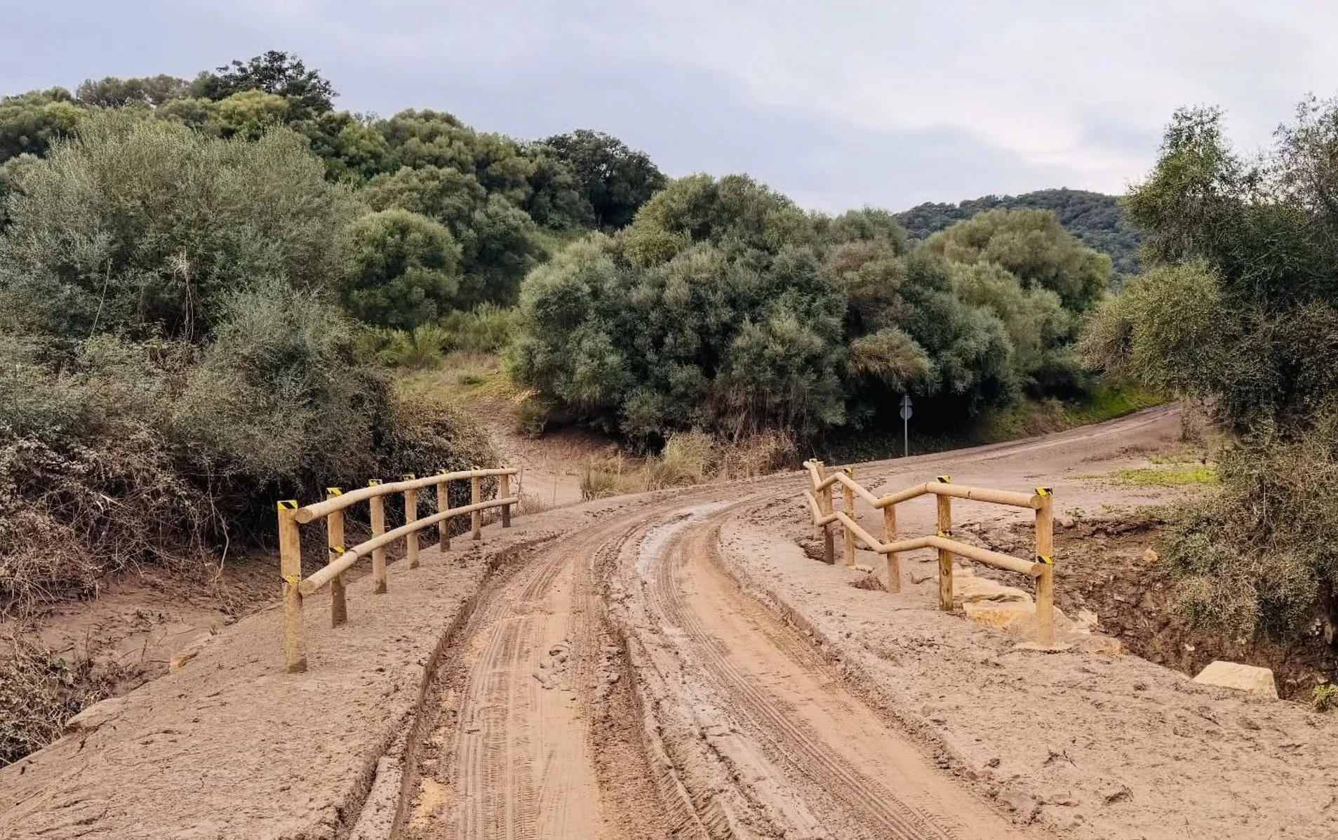 Consecuencias del paso de Francis por la localidad campogibraltareña