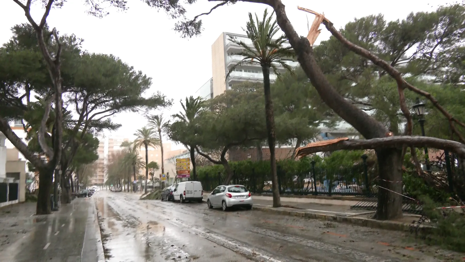 La avenida Gomez Ulla lugar del suceso