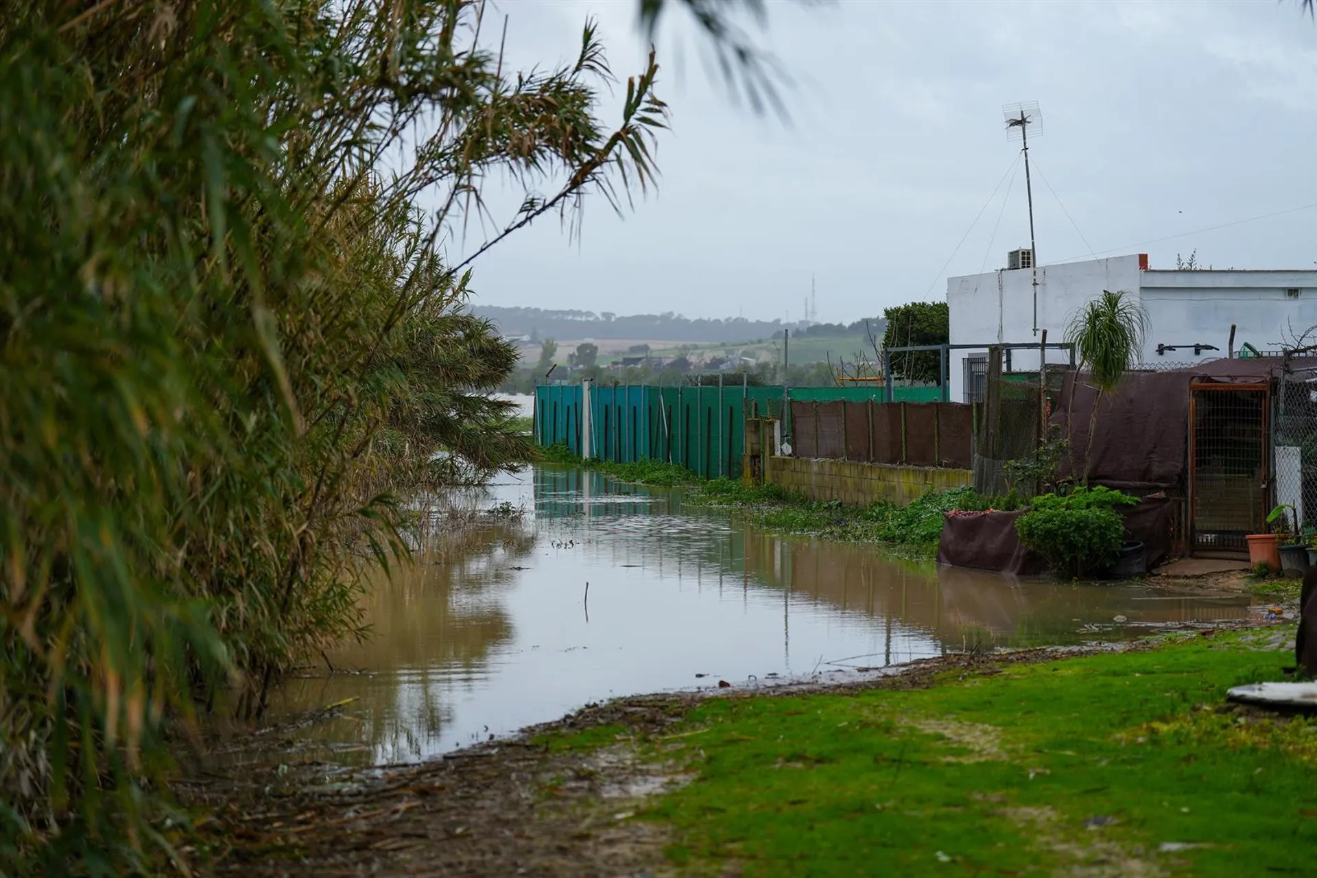 Imagenes de la crecida fluvial a su paso por la barriada de la Corta el pasado viernes
