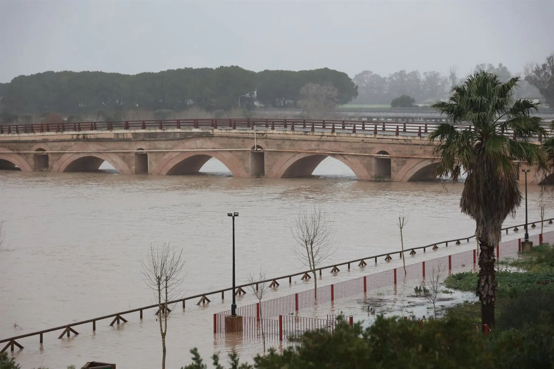 El río Guadalete desborda sus márgenes a su paso por la zona de Las Pachecas en Jerez