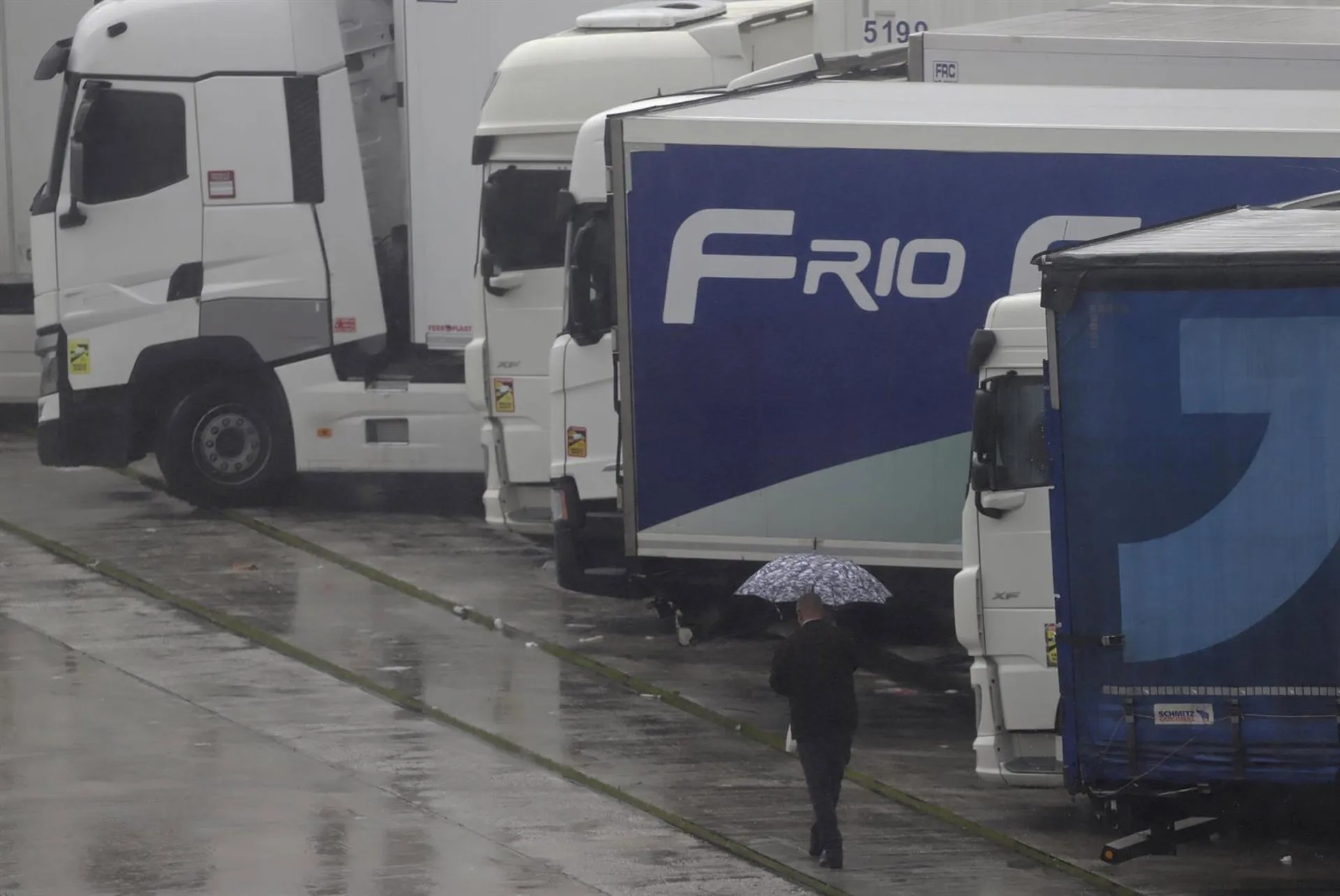 Imagen de camiones parados en los accesos al puerto de Algeciras