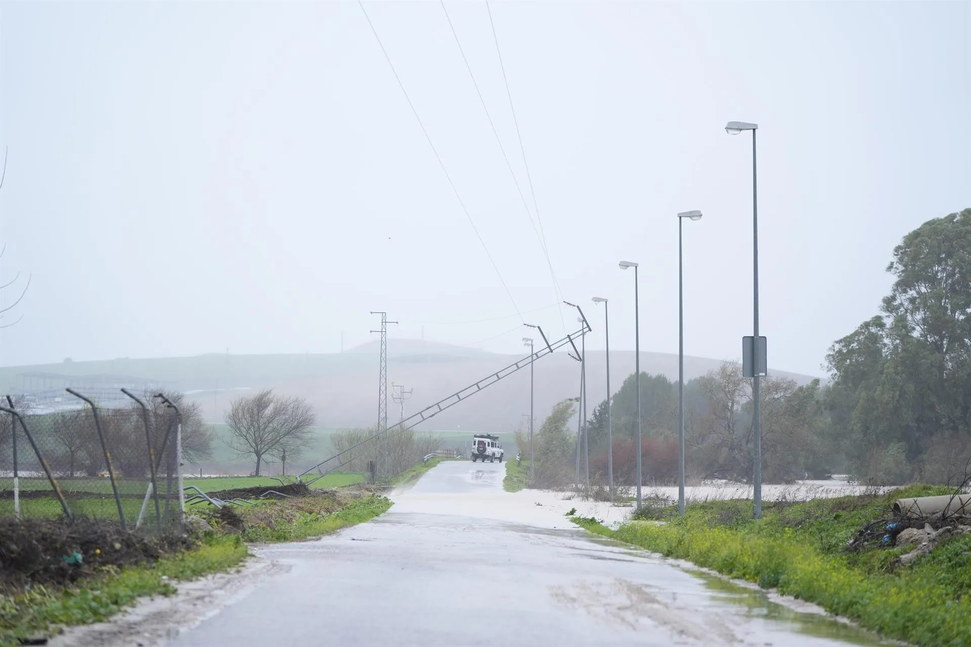 Caída del tendido eléctrico en la carretera de Villamartín a Bornos 