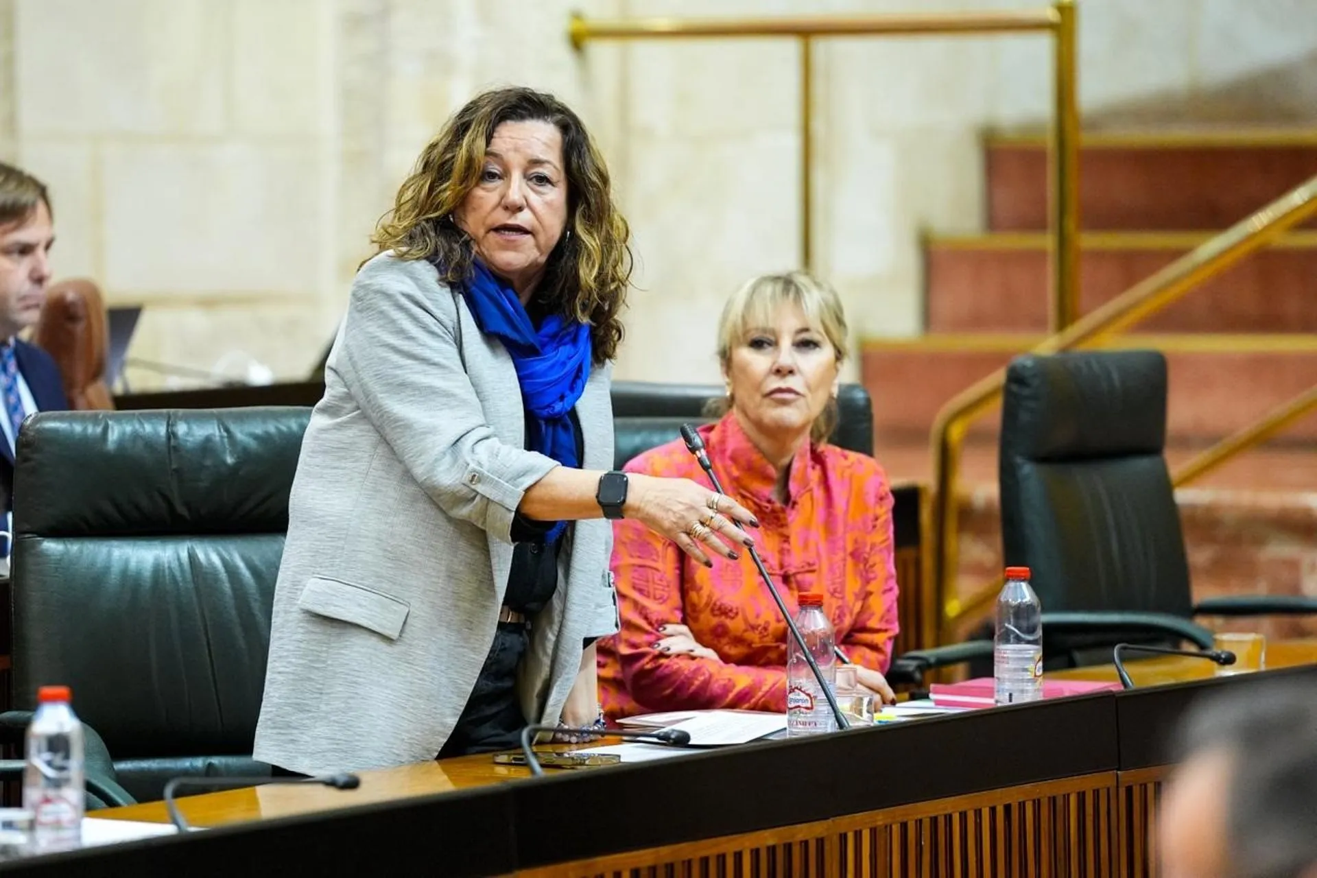 Carmen Castillo durante una intervención en el Parlamento de Andalucía