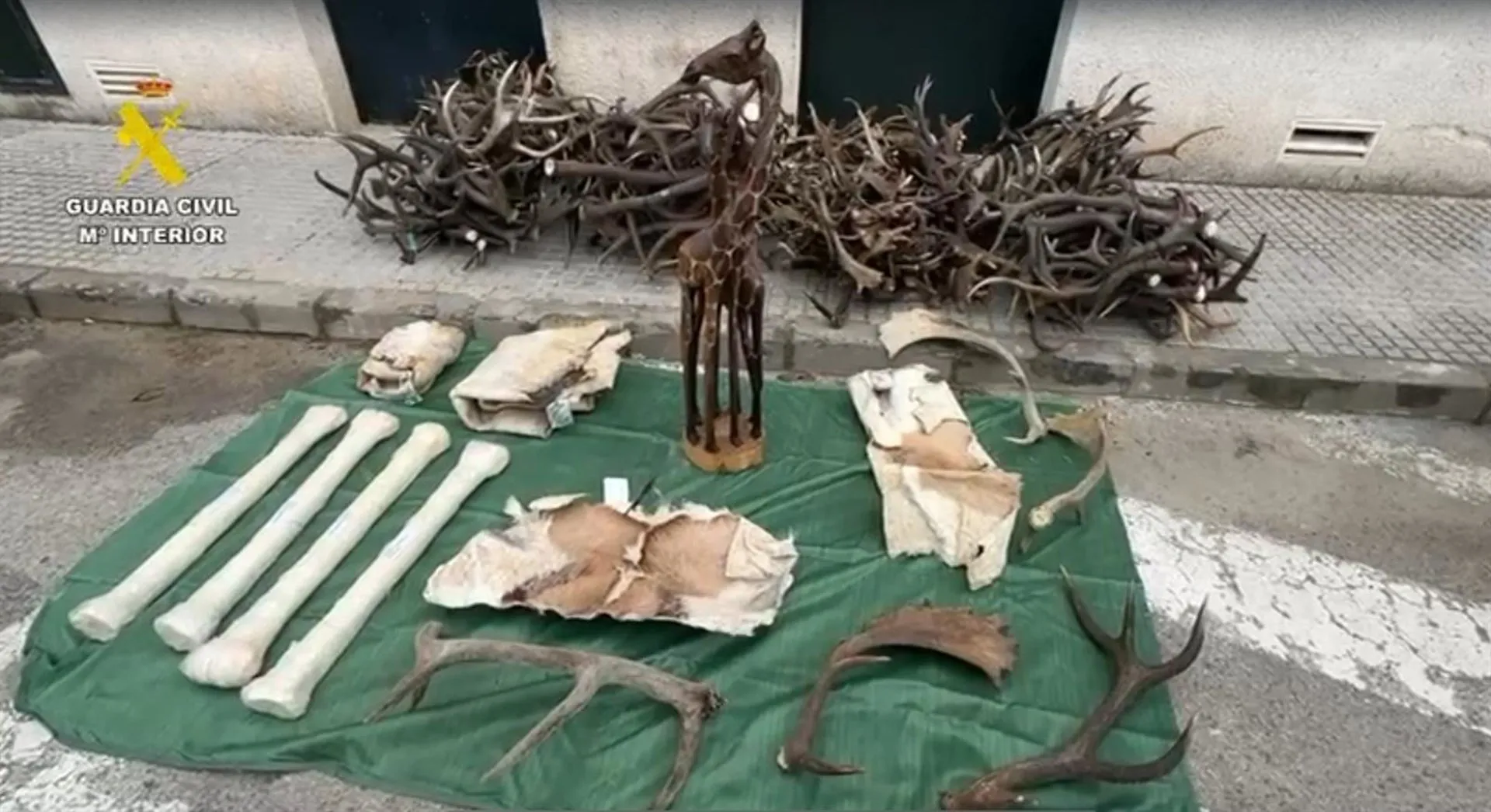 Imagen de la incautación 