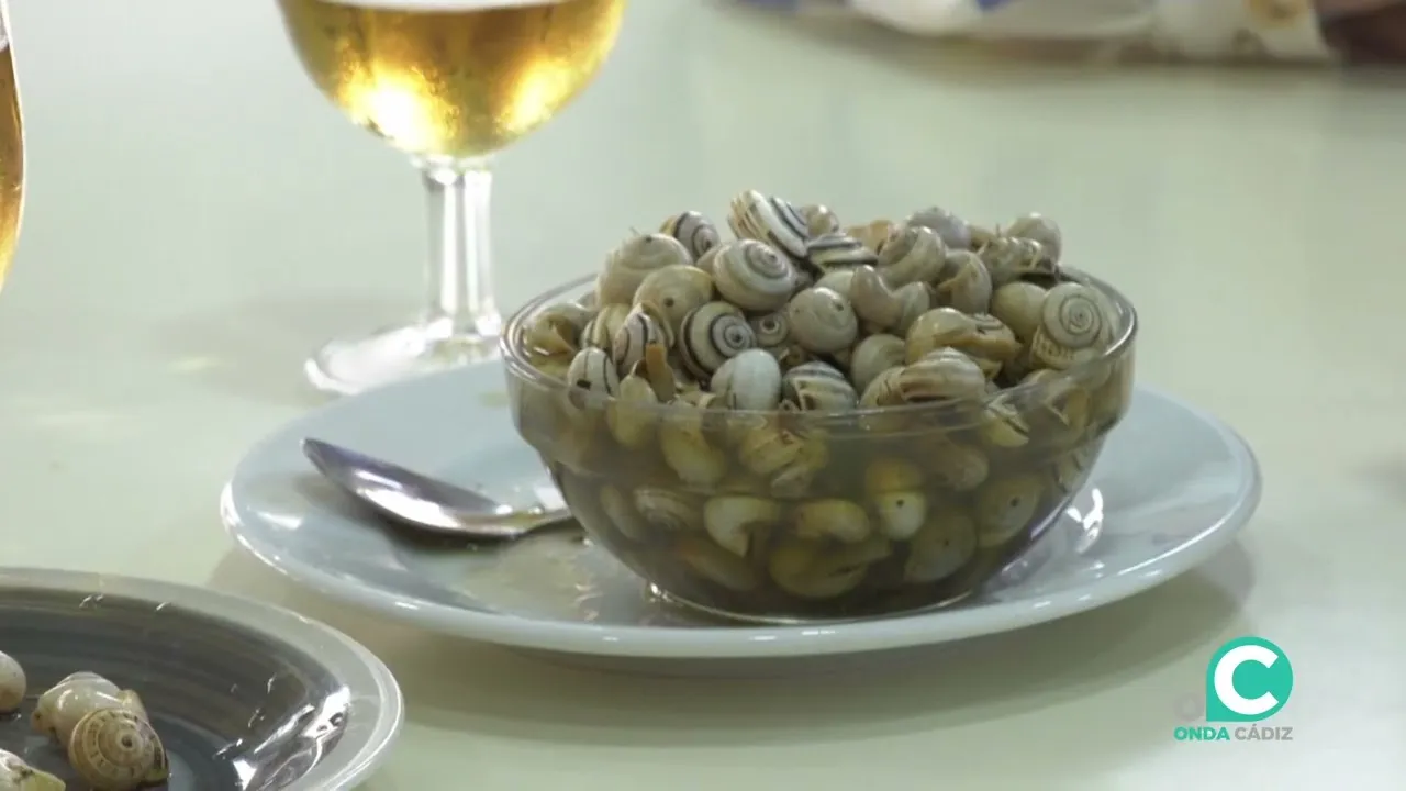 Caracoles