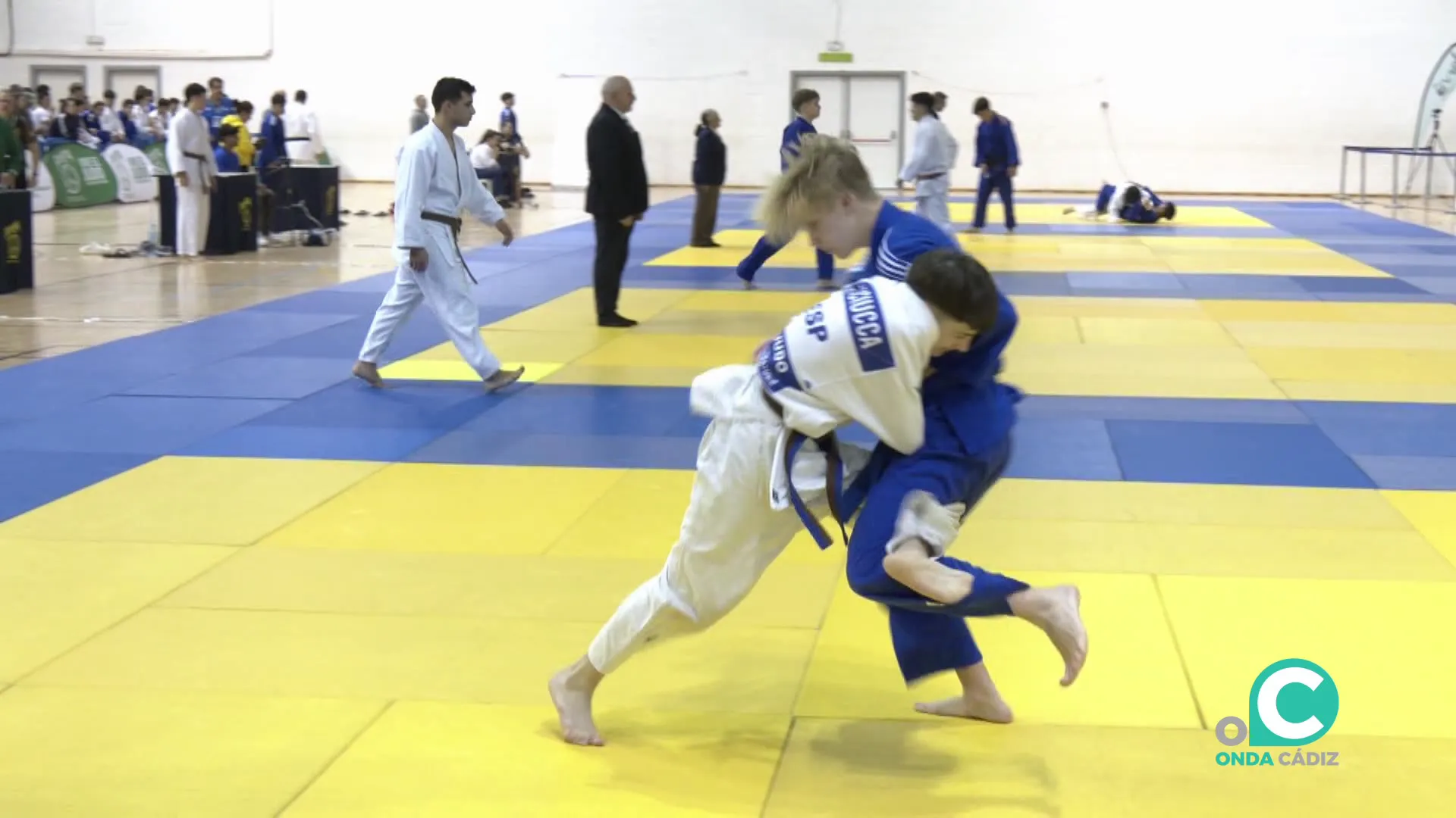 Las grandes promesas del judo se citan en la capital gaditana en los dos próximos dias