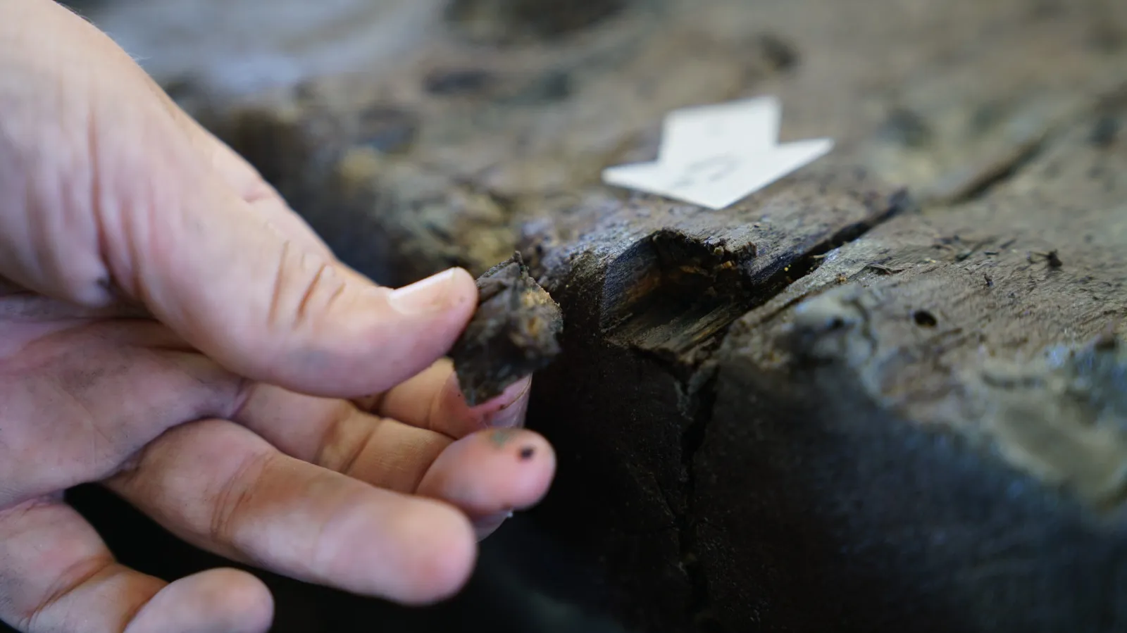 Marcas en las piezas de madera que explican un trabajo especializado en los astilleros locales