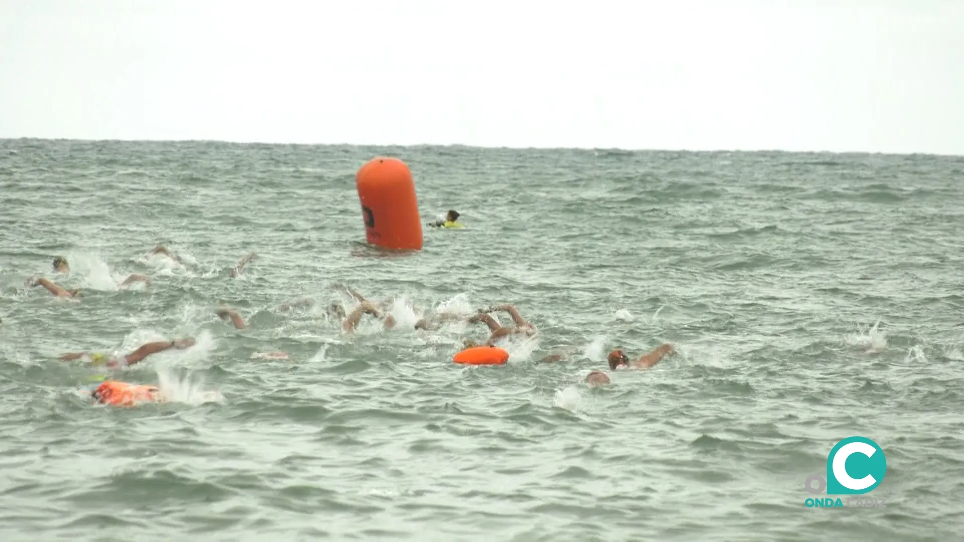 II Circuito Diputación de Cádiz de Aguas Abiertas