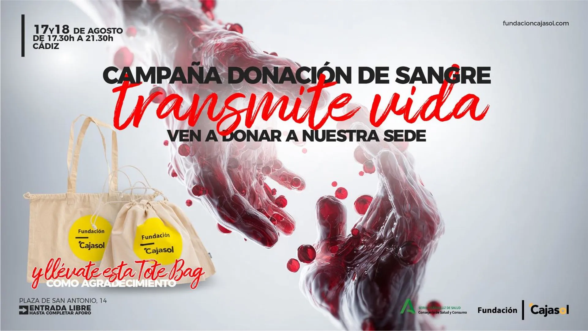 La Fundación Cajasol colabora con una campaña de donación de sangre el 17 y 18 de agosto en Cádiz.
