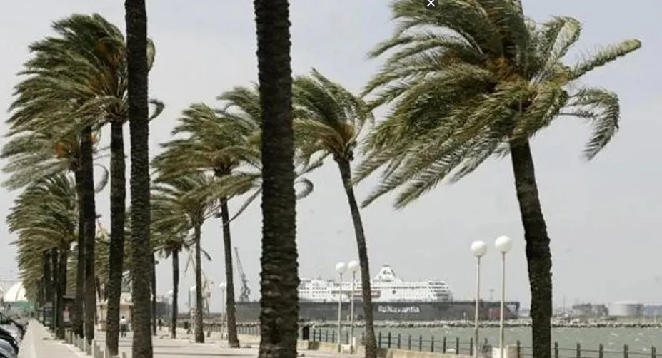 Se esperan rachas de más de 80 Km/h y fuerza 7 en el oleaje